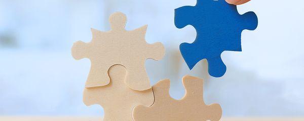 Puzzleteile